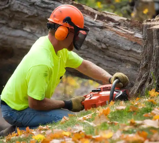 tree services Elmore